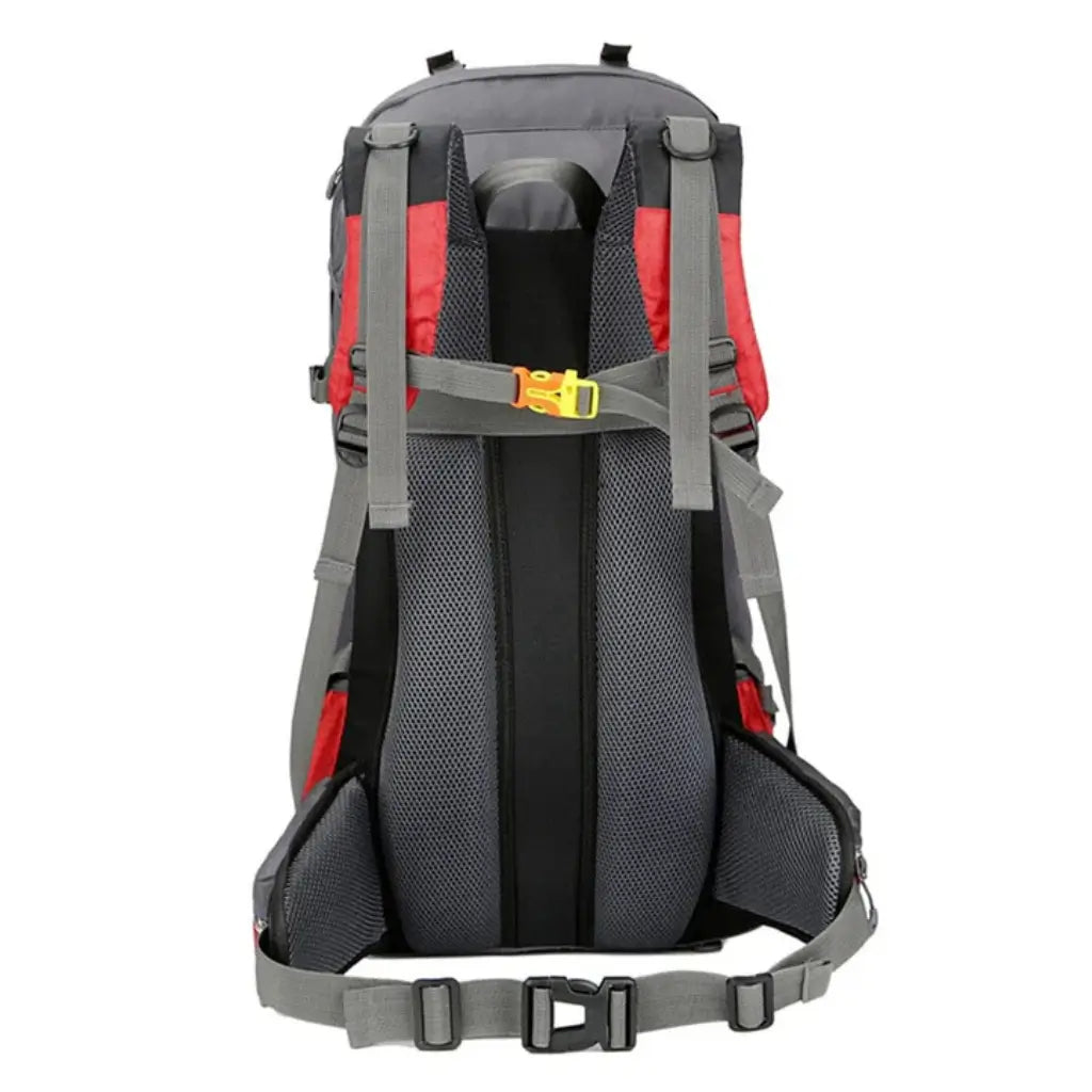 Mochila-Cargueira-Atlas-Lorennzi-60L-Costas-Lisa